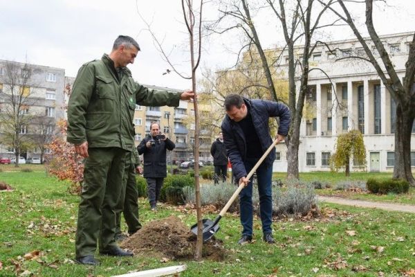 POČELA ZELENA NEDELJA U AP VOJVODINI, BIĆE ZASAĐENO 10.000 SADNICA TOPOLE, BREZE, CRNOG BORA, HRASTA I KATALPA