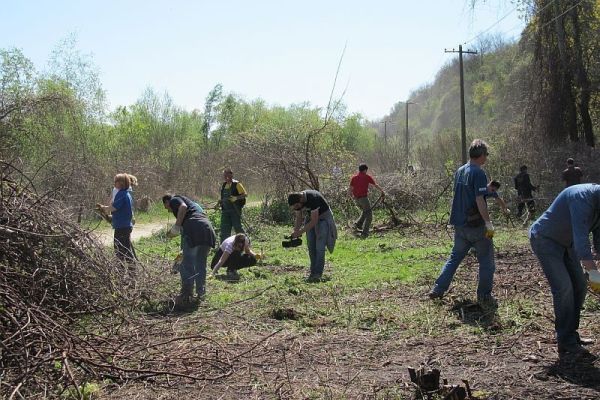 RADNI DAN ZA PRIRODU – uklanjanje invazivnih vrsta u Starom Slankamenu