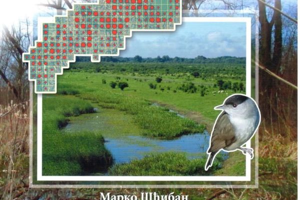 ATLAS PTICA GNEZDARICA ZASAVICE