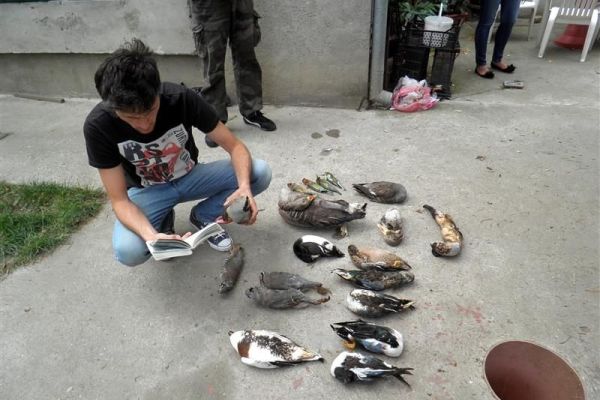 Kažnjen zbog držanja leševa strogo zaštićenih vrsta životinja