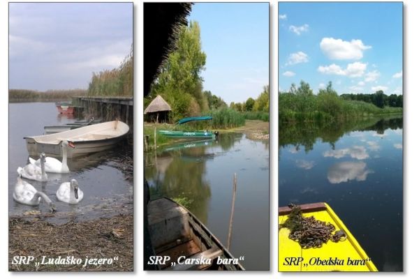 POZIV - Кvalitet vode u SRP "Ludaško jezero", SRP "Carska bara" i SRP "Obedska bara"