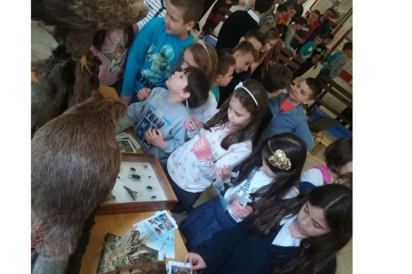 Edukacija u OŠ “Prva vojvođanska brigada“ u Novom Sadu