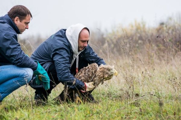 POZIV - ZBRINJAVANJE STROGO ZAŠTIĆENIH ŽIVOTINJA