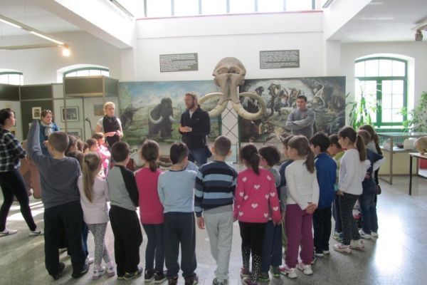 Nedelja zdravih zuba