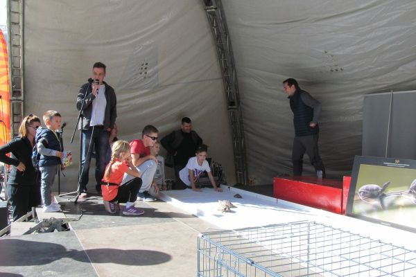 TRKA KORNJAČA NA 26. NOVOSADSKOM MARATONU