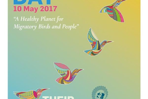 SVETSKI DAN MIGRATORNIH PTICA