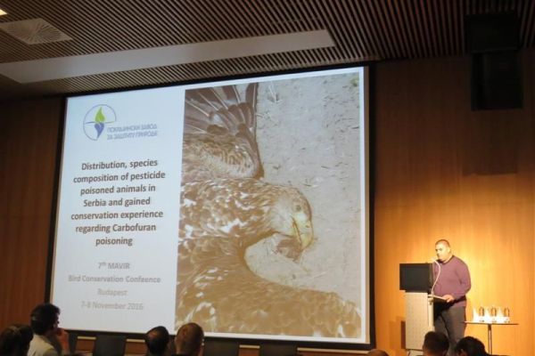 Trovanje i stradanje na dalekovodima – najvažnije teme u zaštiti ptica u Evropi