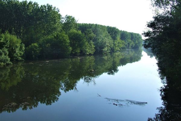 MEĐUNARODNI DAN REKA 14.03.2022.