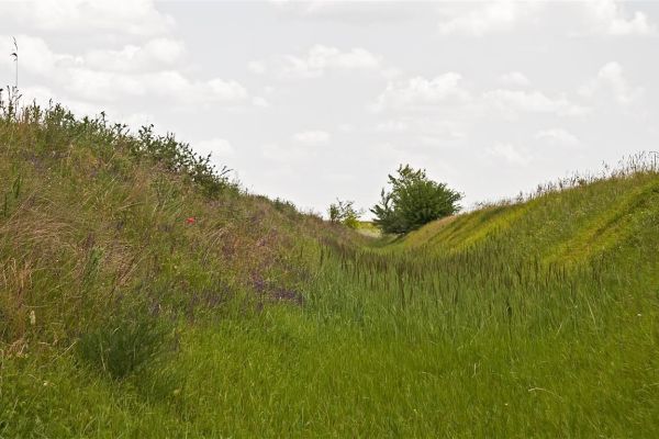 Radni dan za prirodu – Veliki rimski šanac