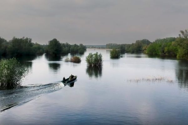 POZIV - FILM "GRABLJIVCI"