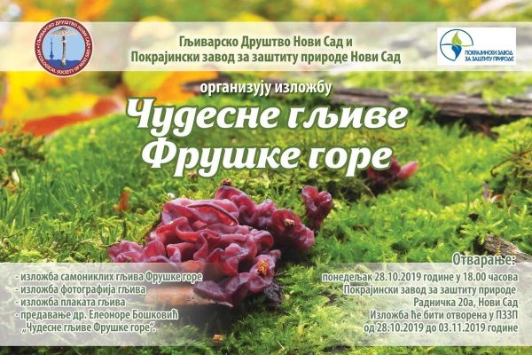 POZIV - ČUDESNE GLJIVE FRUŠКE GORE - PZZP 28.10.2019.