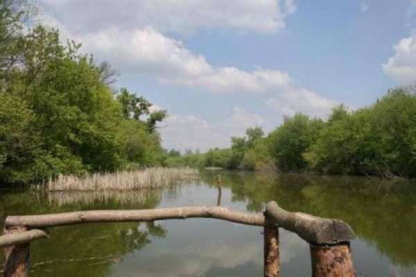 Izveštaj sa održane Javne rasprave o SRP „Ritovi donjeg Potisja“