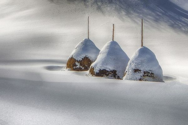Proglašeni pobednici foto-konkursa Viki voli Zemlju 2024. u Srbiji
