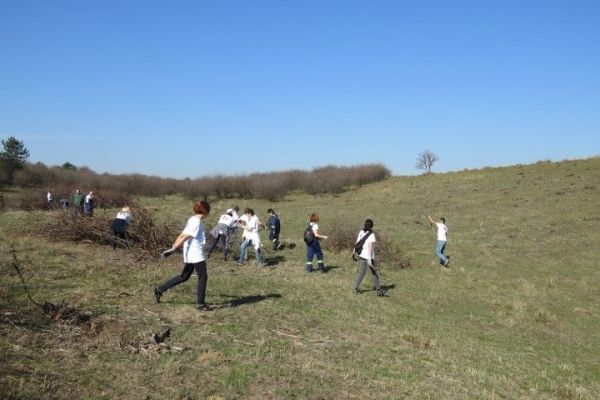 Radni dan za prirodu na lokalitetu Кorn u SRP „Deliblatska peščara“
