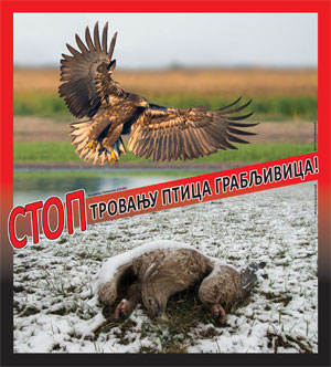 naslovna-stop-trovanju-ptica-grabljivica