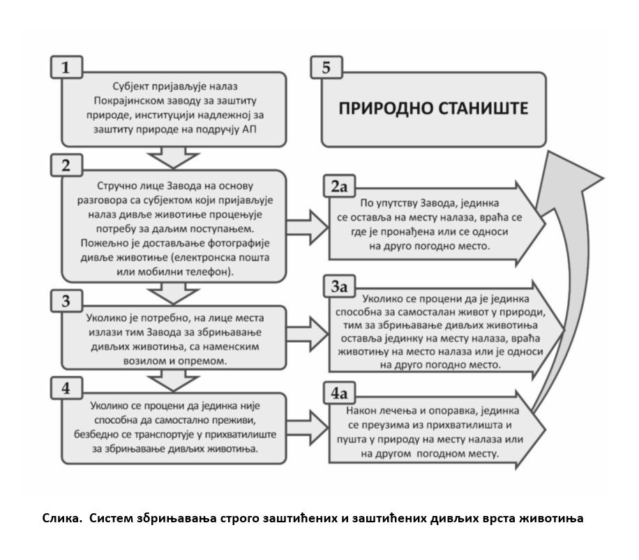 sistem_zbrinjavanja_divljih_zivotinja