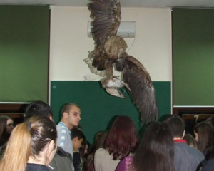 NOC BIOLOGIJE 2015  3   Medium 