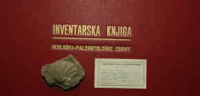 inventarna knjiga