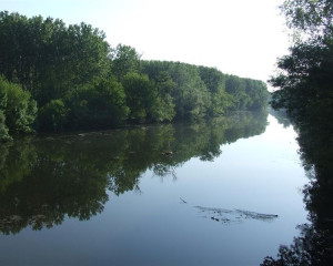 Dunav Srbija f Fojkar  2 