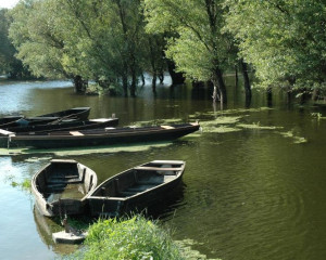 Dunav Srbija foto O  3 