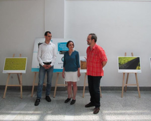 ZELENA MAPA SRBIJE   1 