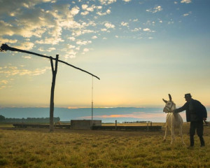 Pann legel 13  Medium 