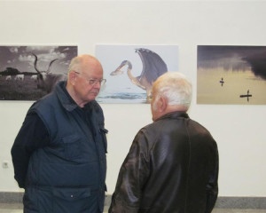 ZASAVICA 11.12.2015  10 