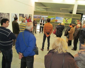 ZASAVICA 11.12.2015  2 