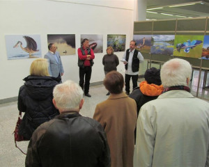 ZASAVICA 11.12.2015  4 