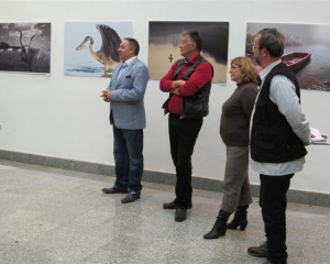 ZASAVICA 11.12.2015  5 