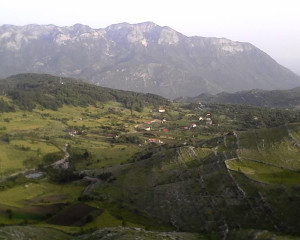 Albanija  7 