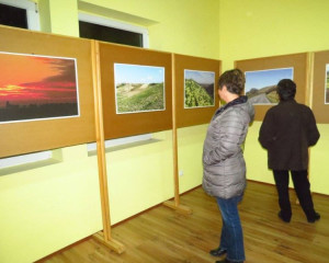 IZLOZBA TITELSKI BREG  2 