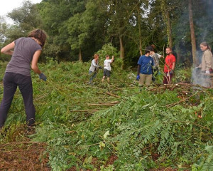 Obedska bara Eko kamp 2016  1 