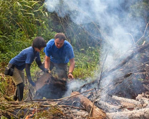 Obedska bara Eko kamp 2016  2 