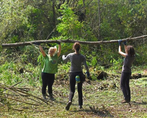 Obedska bara Eko kamp 2016  4 