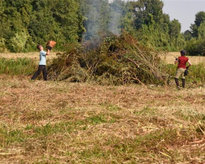 Obedska bara Eko kamp 2016  5 