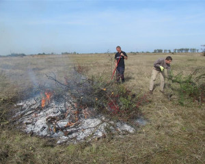 ZABALJ 14.10  10   Custom 