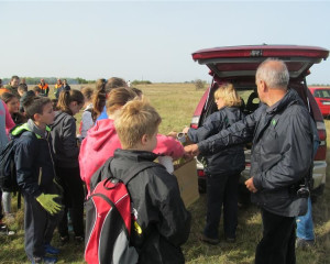 ZABALJ 14.10  12   Custom 