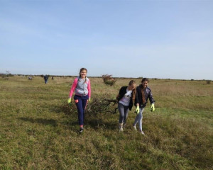 ZABALJ 14.10  16   Custom 