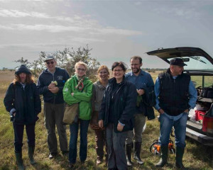 ZABALJ 14.10  17   Custom 