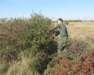 ZABALJ 14.10  4   Custom 