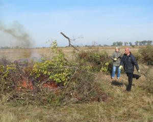 ZABALJ 14.10  8   Custom 