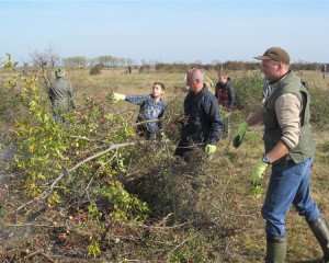 ZABALJ 14.10  9   Custom 