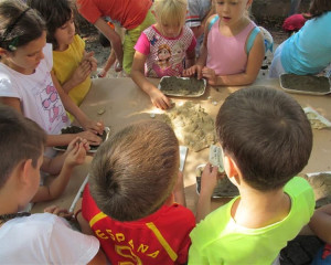 raspustiliste 16  18 