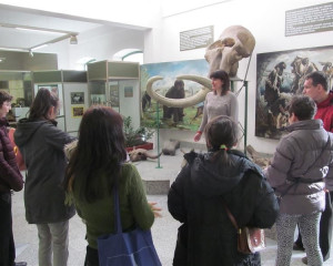 2016 12 12 13.06.37  Custom 