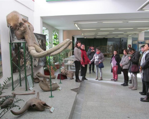 2016 12 12 13.06.56  Custom 