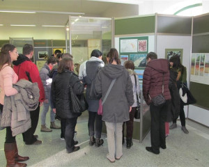 2016 12 12 13.12.06  Custom 