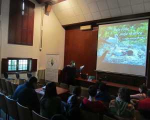 2016 12 12 13.31.17  Custom 