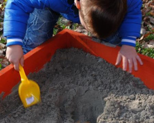 DSC 0010  3   Custom 