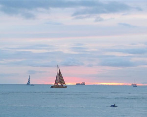 HAVAJI IUCN 2016  10 